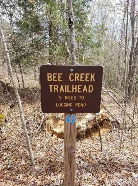 Bee-Creek-connector-trailhead